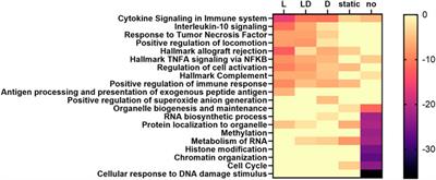 Exploration of genotype-by-environment interactions affecting gene expression responses in porcine immune cells